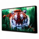 led signs programable via wifi