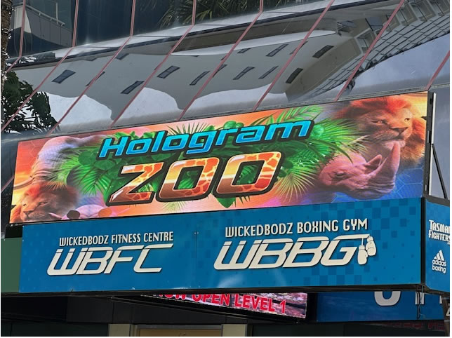outdoor screen